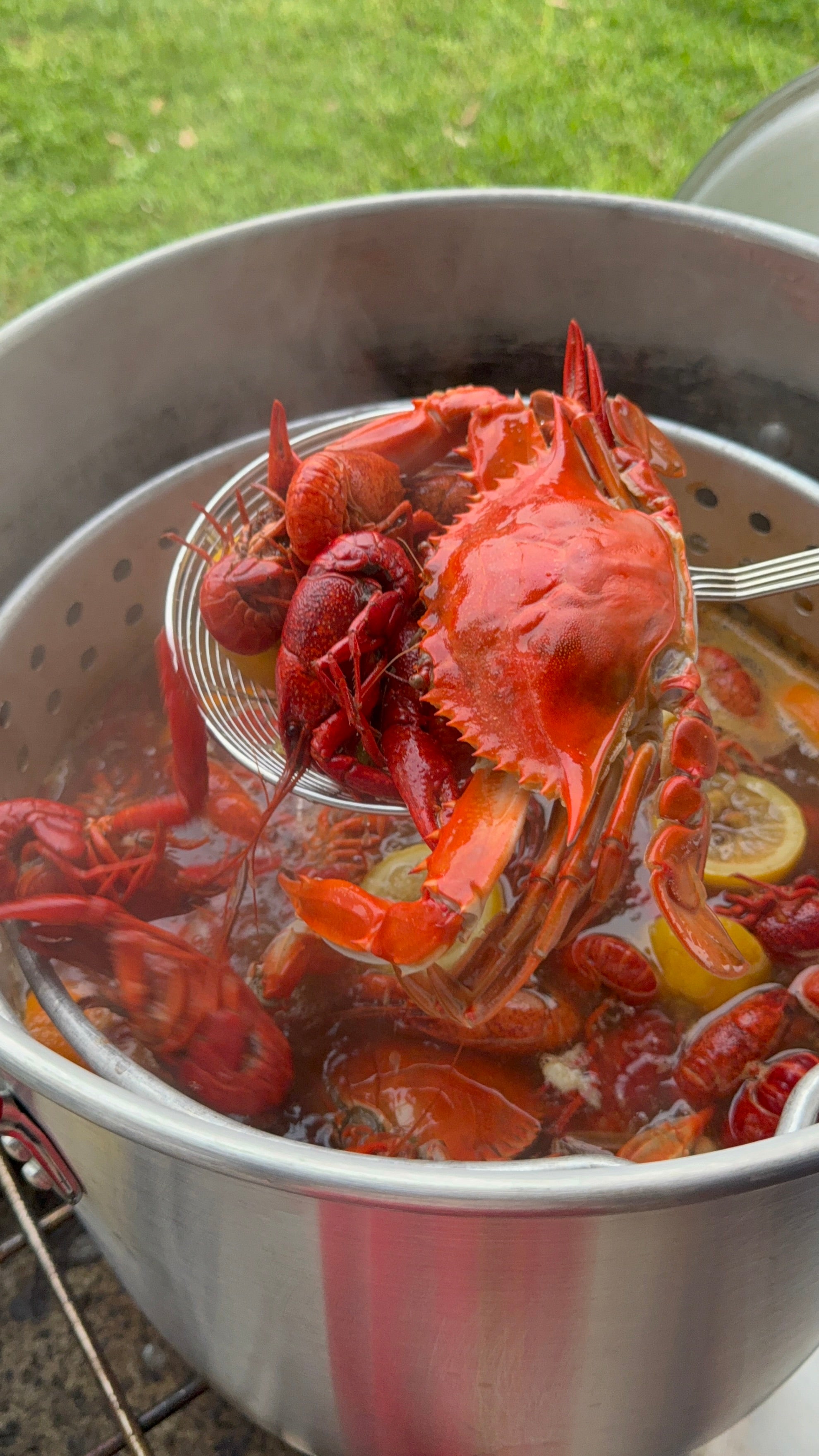 V-Cajun Seasoning Sauce Blend